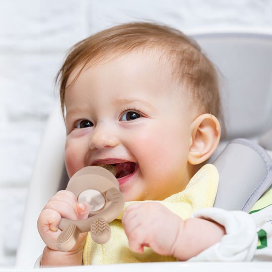 Grignoteuse bebe | Sécurité Alimentaire - NaylaBebe