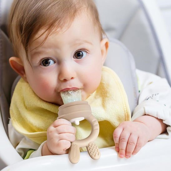 Grignoteuse bebe | Sécurité Alimentaire - NaylaBebe